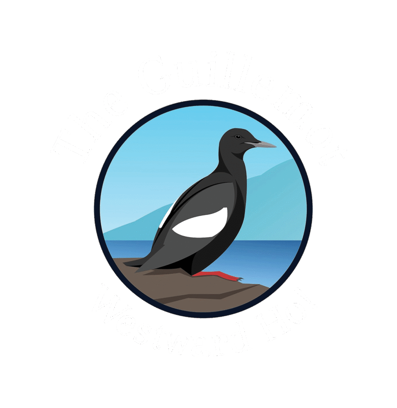 The Guillemot Bar & Restaurant