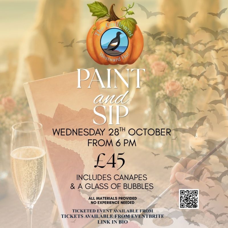 Guillemot Paint and Sip Evening